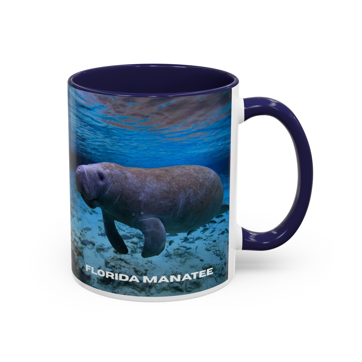 Florida Manatee Coffee Mug – Underwater Wildlife Accent Mug (11/15oz)